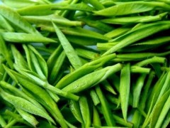 三江县茶清香浓 产业发展生金叶