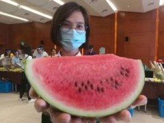 上海以评选活动强化地产西瓜品牌
