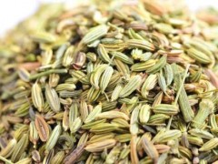 岳普湖小茴香有香有收益