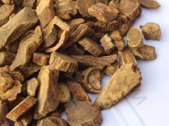 大山深处的“宝藏”为农户带来增收