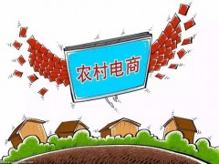 平武县的电商服务 让山野农产品走出去