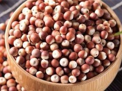 改变生活的芡实果，农户眼里的“金豆豆”