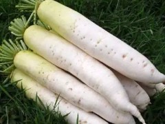 给萝卜赋值 让白萝卜化身“小金娃”