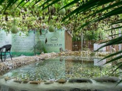 “葡萄＋温泉”后郝窑村的富民路怎样走