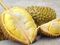 手把手教你种榴莲