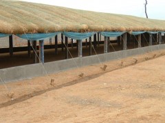 给鸡舍做到四季通风的方法！