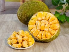 海南菠萝蜜与广西“联姻”！